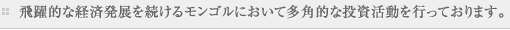 飛躍的な経済発展を続けるモンゴルにおいて多角的な投資活動を行っております。